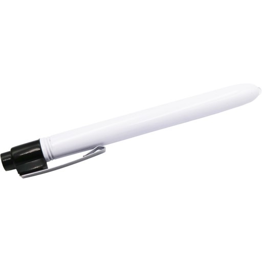 Pen Torch