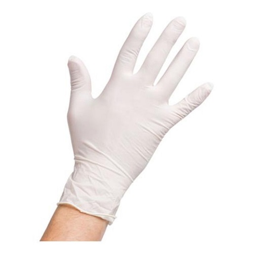 Latex Disposable PowderFree Gloves (SHAMROCK) (Box of 100’s) Industrial Safety Products