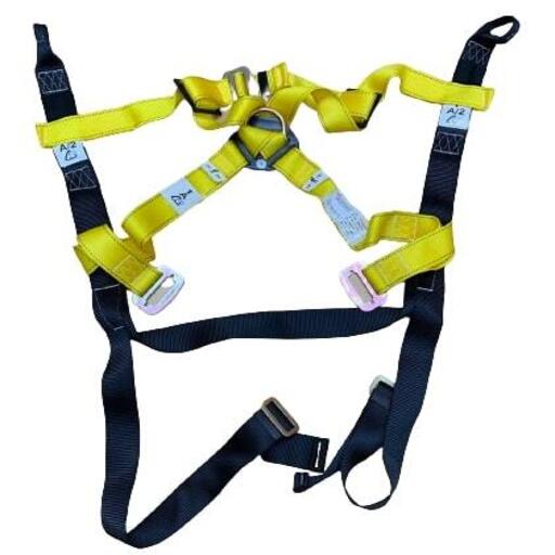 Asher Jallen Safety Harness
