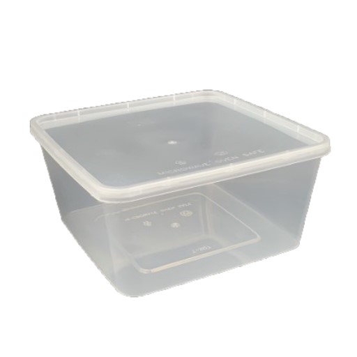 Disposable Plastic Container