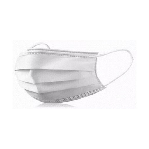 Disposable 3 Ply Kids Earloop Masks – (Box of 50’s)