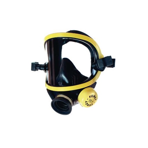 Full Face Mask for T8000
